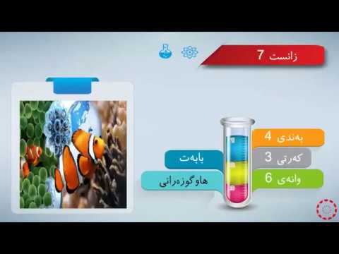 پۆلی 7 زانست بەندی 4 وانەی 3 6 هاوگوزەرانی