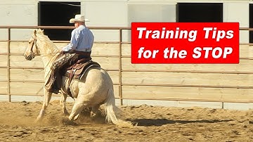 Training Tips for Stopping Your Horse - Reining Horse, Reined Cow Horse, Cutting Horse Stop