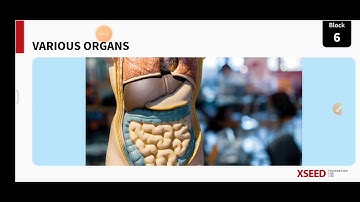 Class 3, Environmental science, Block 6.1 VARIOUS ORGANS