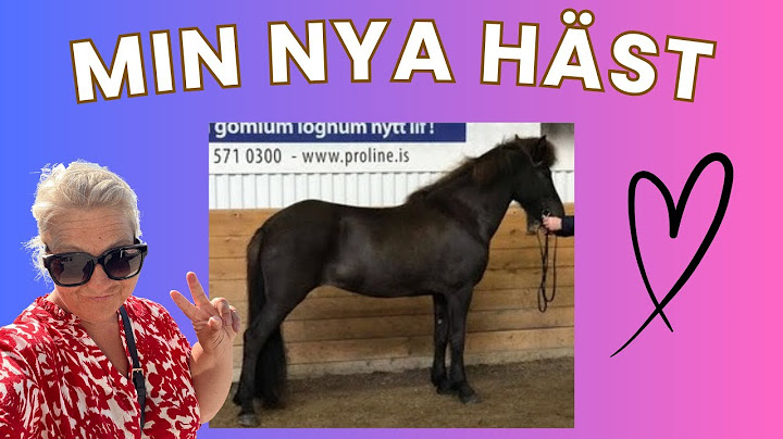KÖPT NY ISLANDSHÄST! TRÄFFA GLO FRA EINHAMRI