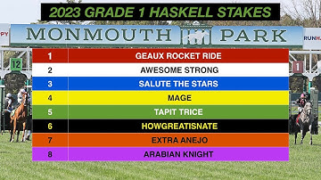 2023 TVG Haskell Stakes Replay and Analysis