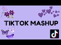 TikTok Mashup 2020 (not clean)