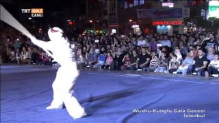 Wushu Kungfu Gecesinde Türkiye'yi Temsil Eden Elif Akyüz'ün Muhteşem Gösterisi - TRT Avaz Resimi