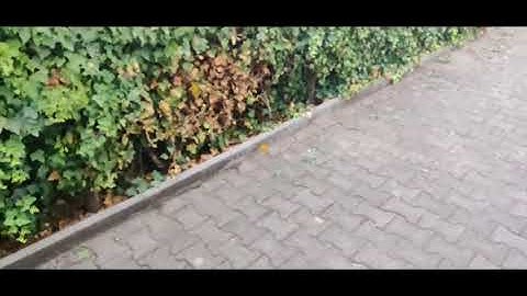 DEMO: Augmented Reality Measuring Tape Web App | WebXR | BabylonJS