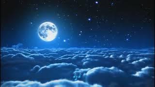 The Macarons Project - Fly Me To The Moon(Lyrics Video)