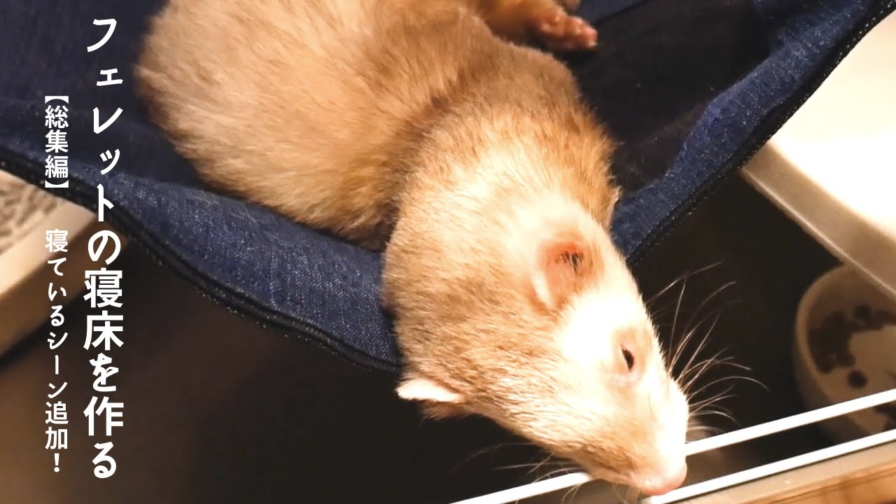 総集編 フェレットのハンモックを作る方法 作り方 衣食住ものづくり Diy Muten Sewing Youtube