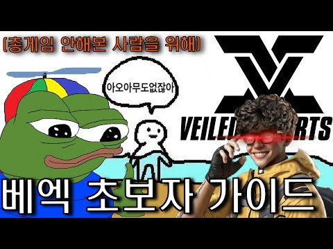 총게임 한번도 안해본 뉴비를 위한 베엑 초보자 기본기 가이드 베일드엑스퍼트 