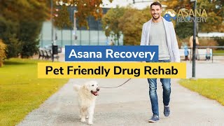 Pet Friendly Drug Rehab