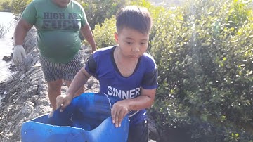 hành trình bắt ốc ngựa mà bắt được con cúm to