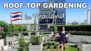 Roof Top Gardening in Thailand