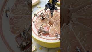 pomelo,cabbage,celery and mushroom miniature #suffi #shorts #suffi's miniature