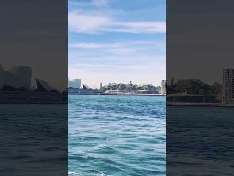 SAILING under SYDNEY