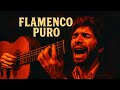 "EL GRITO DEL TABLAO" | Flamenco Español: Bulerías | Inspo. Paco de Lucía, Camarón de la Isla