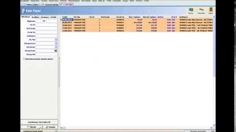 AKINSOFT WOLVOX Genel Muhasebe   Ön Muhasebe Entegrasyonu