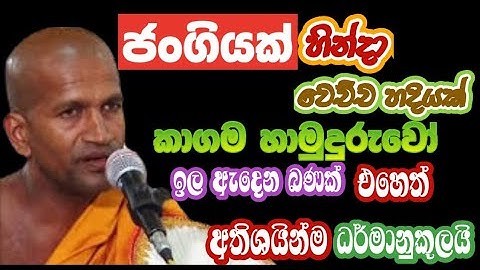 කාගම හාමුදුරුවෝ | ජංගියක් ගිය දුරක් | kagama sirinanda thero 2025 @NelhasaLanka