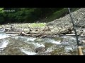 2011年05月25日「テンカラは職漁師の釣り Once tenkara fishing was a job 」tenkara.com