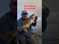''Deep Water Bass Fishing on Toledo Bend'' #fishing #bassfishing #fishingshorts #cgwhackem