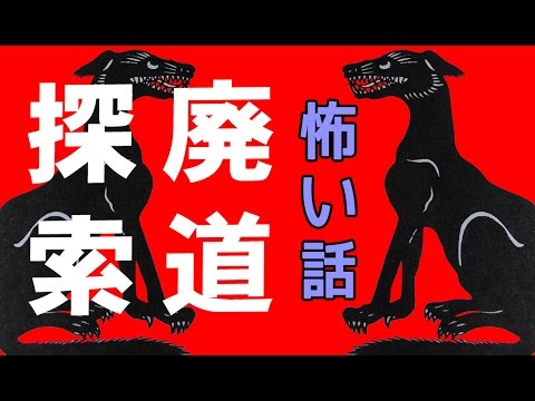 【怖い話】廃道探索【朗読、怪談、百物語、洒落怖,怖い】