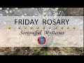 Friday rosary  sorrowful mysteries of the rosary  april 26 2024 virtual rosary  meditation