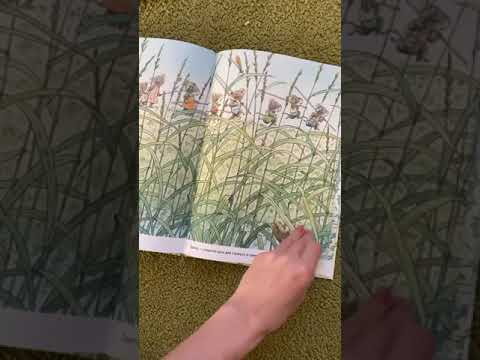 Обзор книги 14 лесных мышей. Стрекозиный пруд