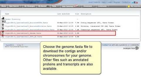 Download the Genome Sequence and Annotation files for your genome