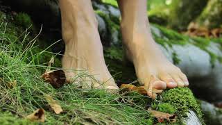 L'instant Feldenkrais, l'équilibre tout terrain. Méthode Feldenkrais.