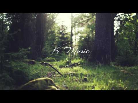 Flashmob - Need