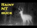 Trailcam Times: Non-typical Hoosier Buck,  coyotes, &amp; fawns