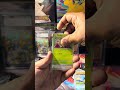 Mastering surging sparks one pack at a time #pokemon #pokemoncards #surgingsparks #packopening