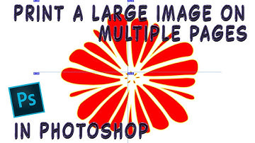 Print a Large Image on Multiple Pages with Photoshop