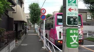 4K walking around toritsu daigaku 鳥取大学 tokyo Japan