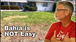 How To Care For A Bahia Grass Lawn Part 1 screenshot 4