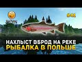 Нахлыст вброд на Реке. Рыбалка в Польше - Fisher Online #41