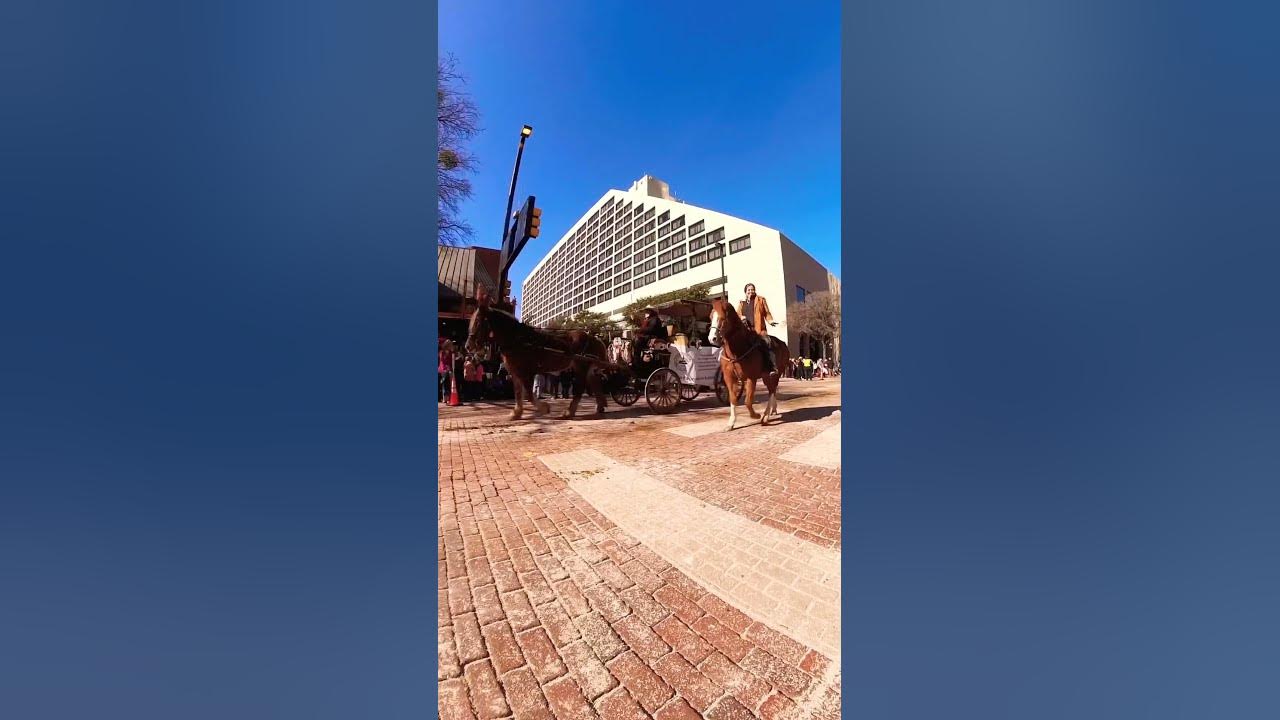 2025 Fort Worth Stock Show Parade fortworth parade 
