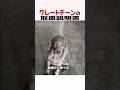 グレートデンの取扱説明書　#グレートデン #大型犬 #大型犬のいる生活 #大型犬のいる暮らし #犬好きさんと繋がりたい #元気お届け