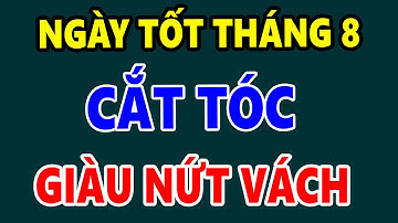 Xem Ngày Tốt Cắt Tóc Tháng 8 Âm Lịch Làm Đúng Bạn Sẽ Giàu To, Thần Tài Cho Lộc, Đừng Dại Bỏ Qua