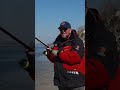 Секретна проводка на щуку: Течія все зробить за вас! 🎣🔥 #трофей #риболовля #щука #fishing