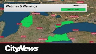 Toronto under rainfall warning, up to 60 mm expected