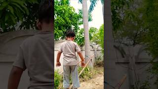 🏡 garden main aastu ki masti 🤗❤️🥰 viral video status|| yt short video whatsapp status||#shortvideo
