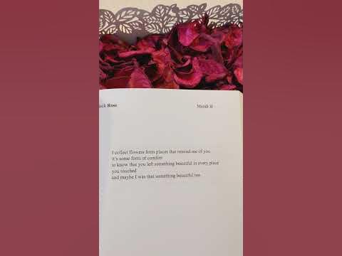 black rose by Marah H #poetrybook #poem #quotes #books - YouTube