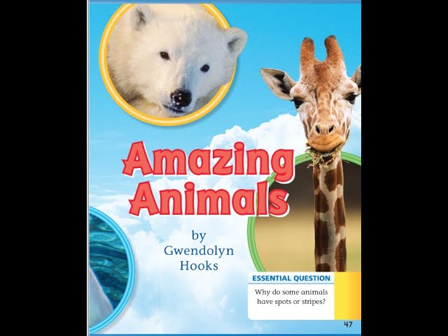 Read Aloud: Amazing Animals| Journeys | Lesson 22 - YouTube