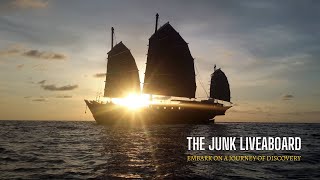 Embark on a Journey of Discovery with The Junk