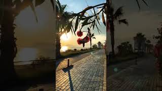Tag someone you love 💕👇              👉 Soch 💕 | Beach Love Vibes 🌊🌸 | Romantic Aesthetic Status
