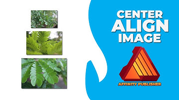 How to center align image in affinity publisher
