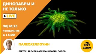 Занятие "Палеохеллоуин!" кружка "Динозавры и не только" с Ярославом Поповым