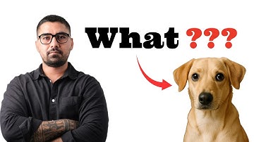 Why Your Dog Doesn’t Listen | Dog Training Science | Dog behaviourist