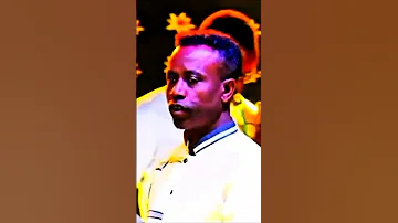 Geerarsa Ajaa Ibaa Weellisaa Dajanee Jaalataa 2024 