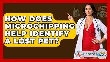 How Does Microchipping Help Identify A Lost Pet? - Ask A Pet Vet