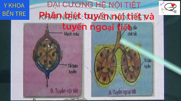 Thế nào là tuyến nội tiết ngoại tiết