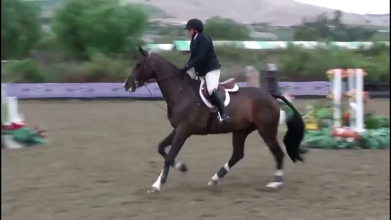 2023 Sept Blenheim fall tournament 5th of 30 PCHA medal final